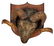 Antique Ram / Sheep Head Taxidermy Mount. - 3