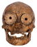 Pre-Columbian Human Skull. - 2