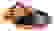 item-70518490=2