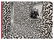 Haring, Keith. Keith Haring in the Pop Shop. Signed