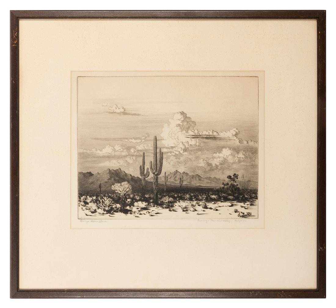 Evening, Paradise Valley, Arizona. (1 of 1)