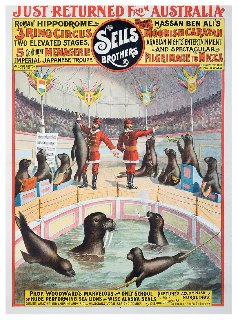 Sells Brothers. Professor Woodward’s Sea Lions and (1 of 1)