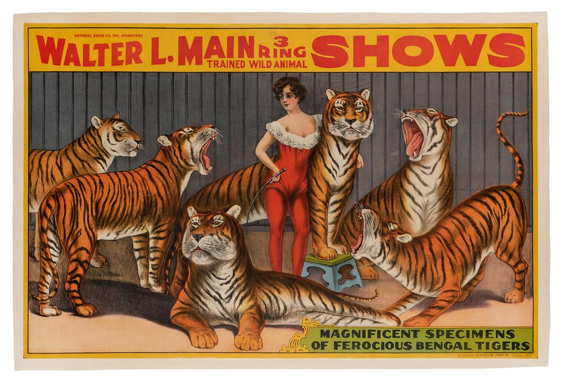 Walter L. Main 3 Ring Shows. Ferocious Bengal Tigers. (1 of 1)