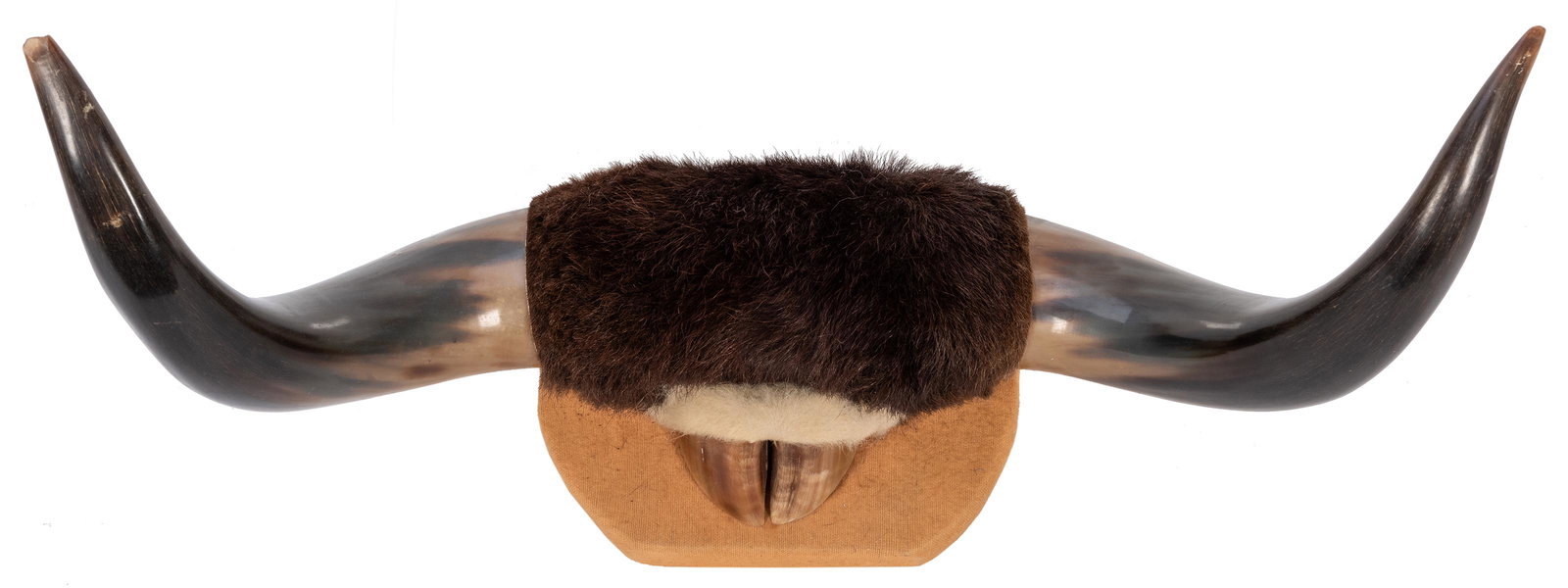 Horn-Mount Hat Rack (1 of 2)