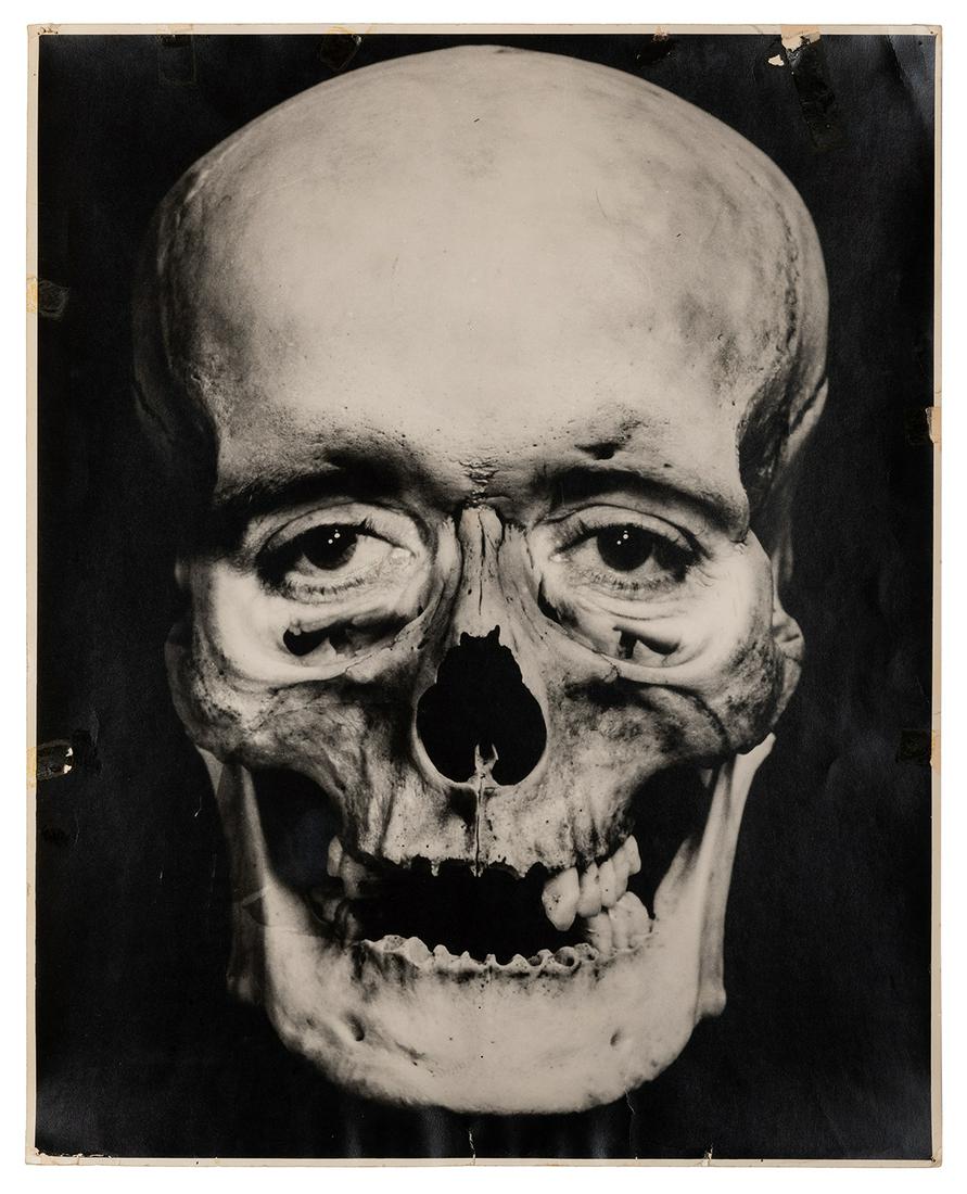 Large Human Skull Photograph. (1 of 1)