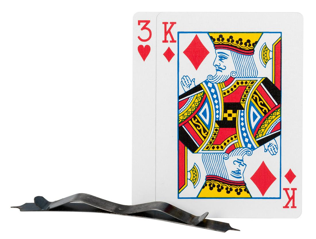 Shirt Bug Holdout. (1 of 1)