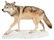 Red Wolf Full Body Taxidermy Mount. On a snow-like