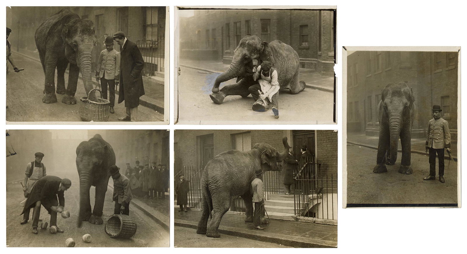 Five Photos of a Performing Elephant. Circa 1920s.: Five Photos of a Performing Elephant. Circa 1920s. Silver prints (4 ¾ x 6 ½”) of “Lil” interacting with pedestrians and a trainer in an unknown location, but probably in En