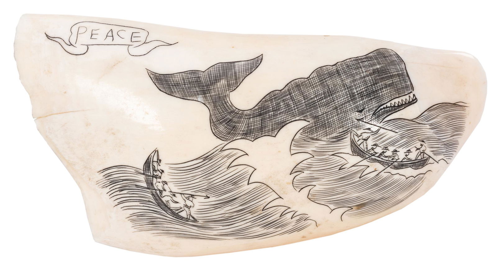 [POLAR–WHALING] Scrimshaw Tooth with Whaling Scene.: [POLAR–WHALING] Scrimshaw Tooth with Whaling Scene. Image of a large whale and two row boats of men with spears, a cartouche in the upper left corner with the word "PEACE". Length 4 ½".