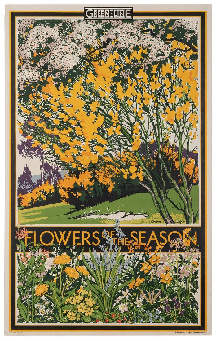 Spradberry, Walter E. (1889-1969). Green Line / Flowers (1 of 1)