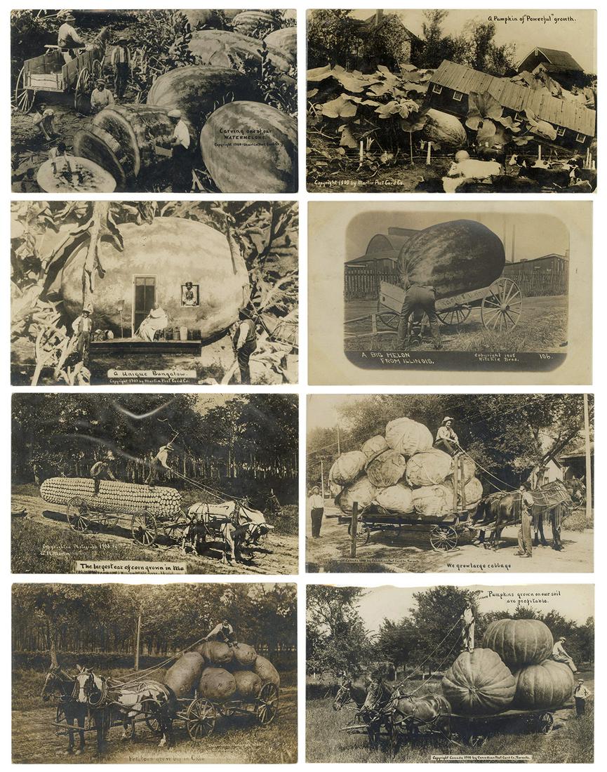 Group of 24 Real Photo Exaggeration Postcards. Circa (1 of 1)