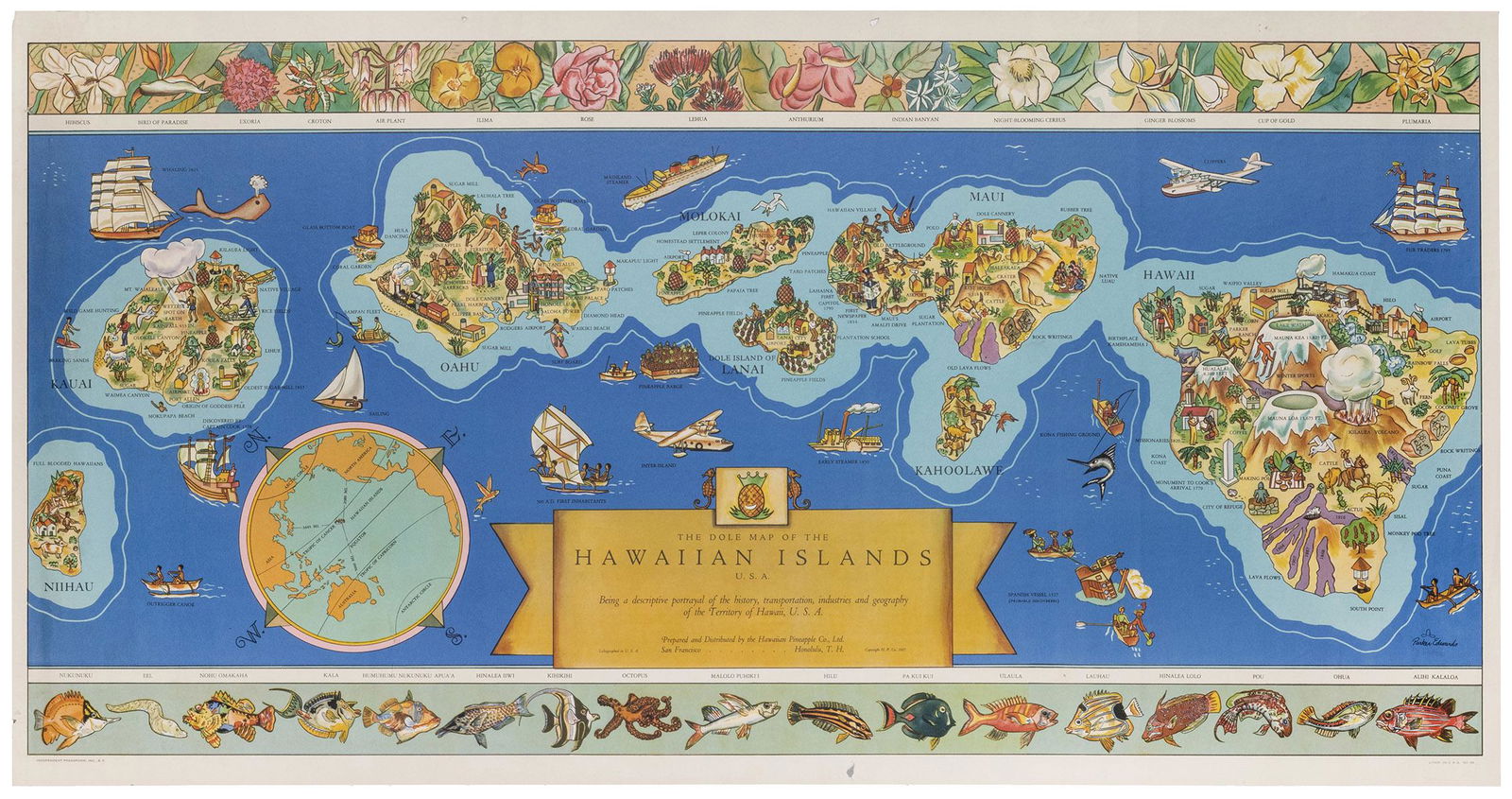 [HAWAII] Dole Pictorial Map of the Hawaiian Islands. (1 of 1)