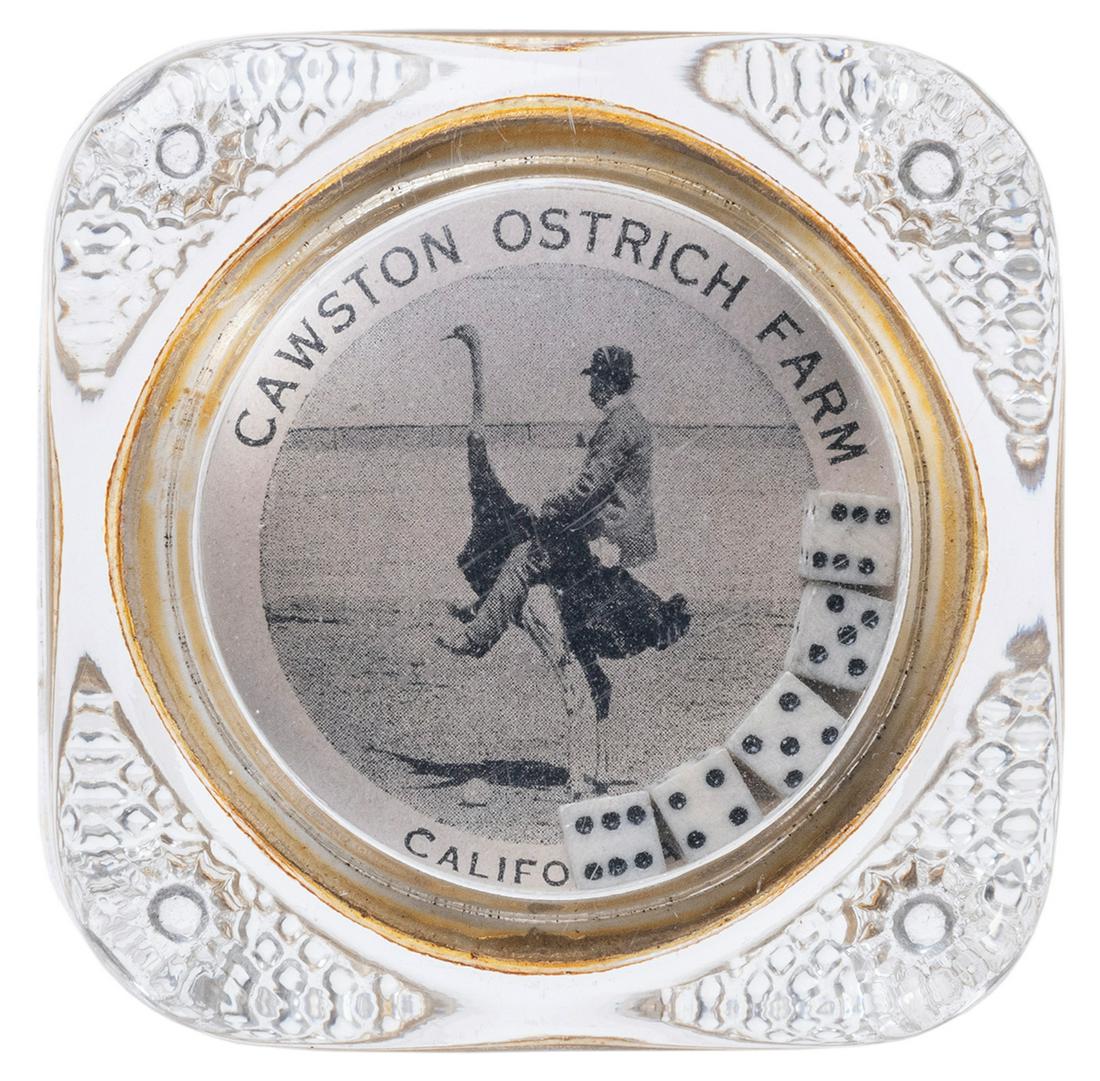 Cawston Ostrich Farm Souvenir Dice Shaker Paperweight.: Cawston Ostrich Farm Souvenir Dice Shaker Paperweight. South Pasadena, CA, ca. 1900s. Glass paperweight with five tiny dice. No chips or cracks. 3 x 3 x 1”.