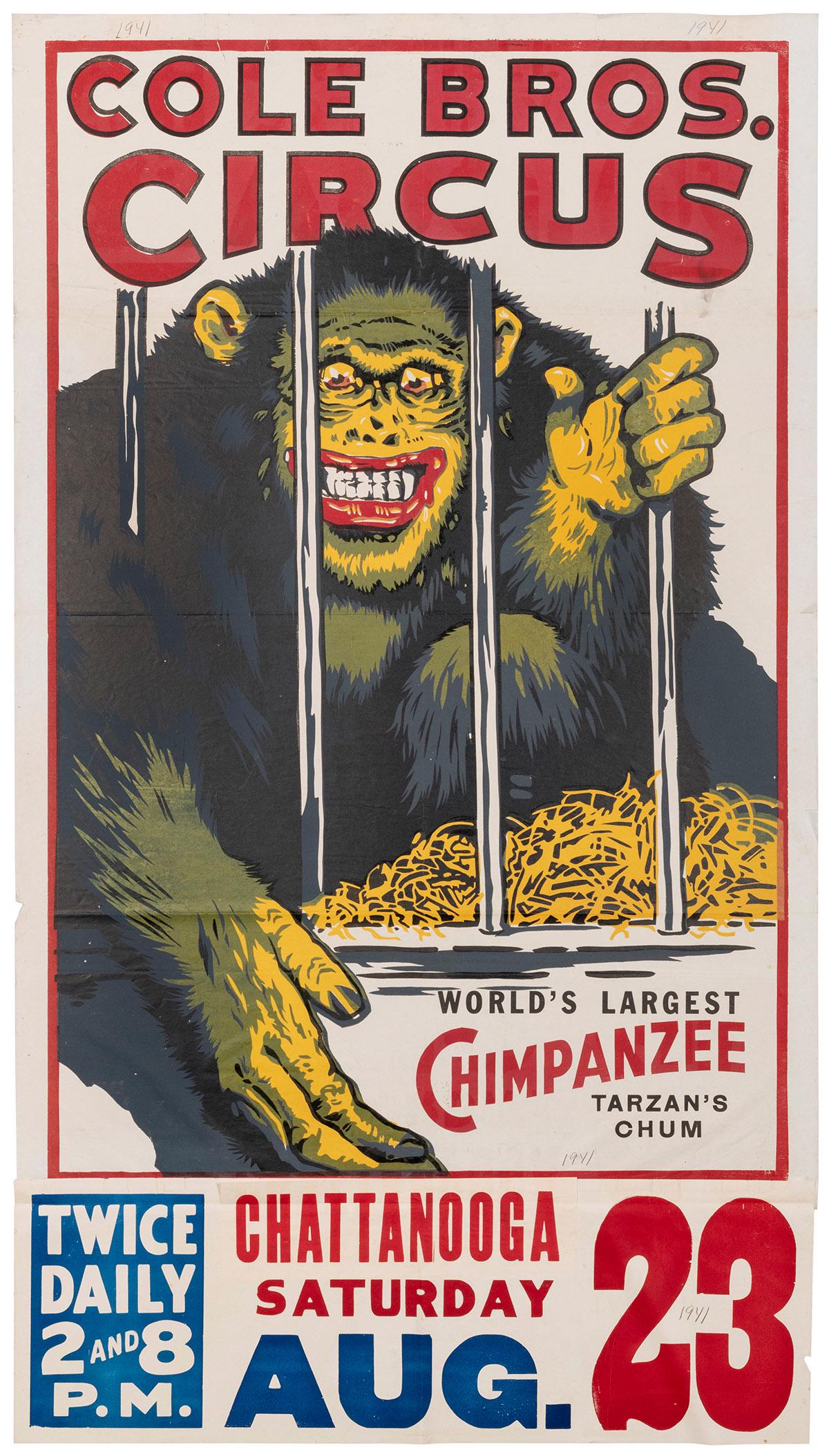 Cole Bros. Circus / [World’s Largest Chimpanzee].: Cole Bros. Circus / [World’s Largest Chimpanzee]. Circa 1941. “Tarzan’s chum” reaches out through the bars of his cage. 50 x 27”. Date tag for Chattanooga, TN. Old folds.