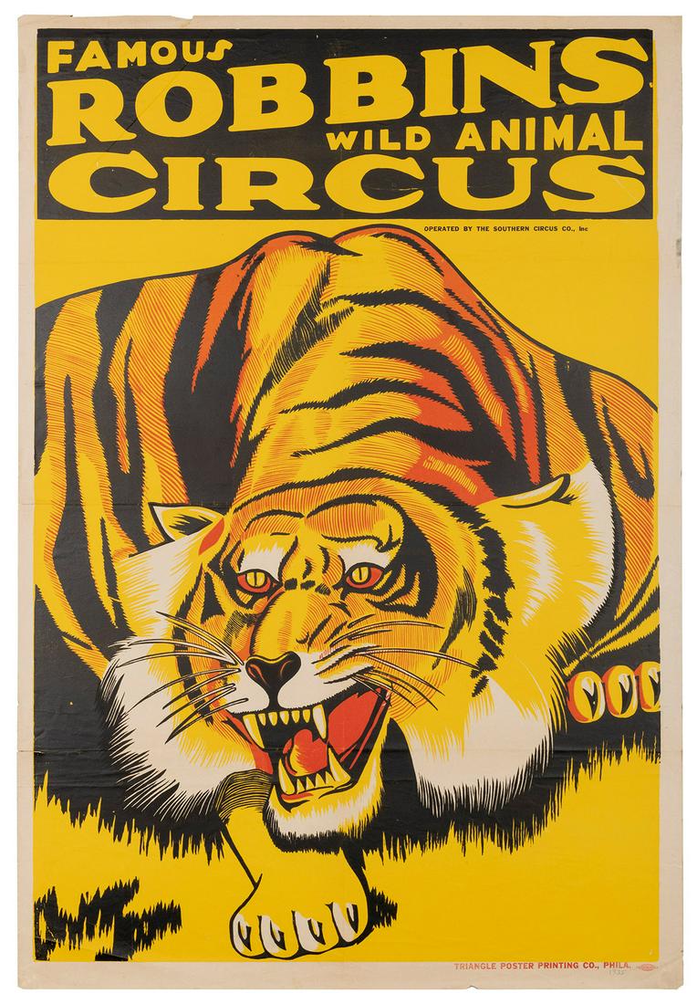 Famous Robbins Wild Animal Circus / [Tiger]. (1 of 1)