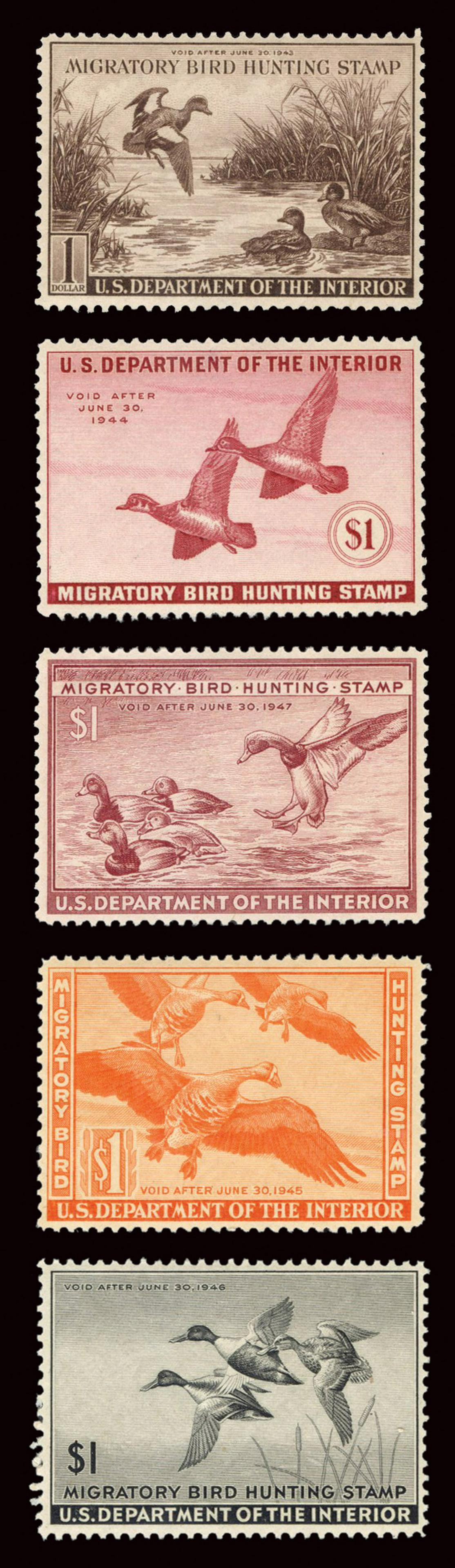RW9-13 Duck Hunting Stamps. Group of 5 Federal duck: RW9-13 Duck Hunting Stamps. Group of 5 Federal duck hunting stamp, all with full original gum, lightly hinged and with f-fv centering. Scott catalog value $290.