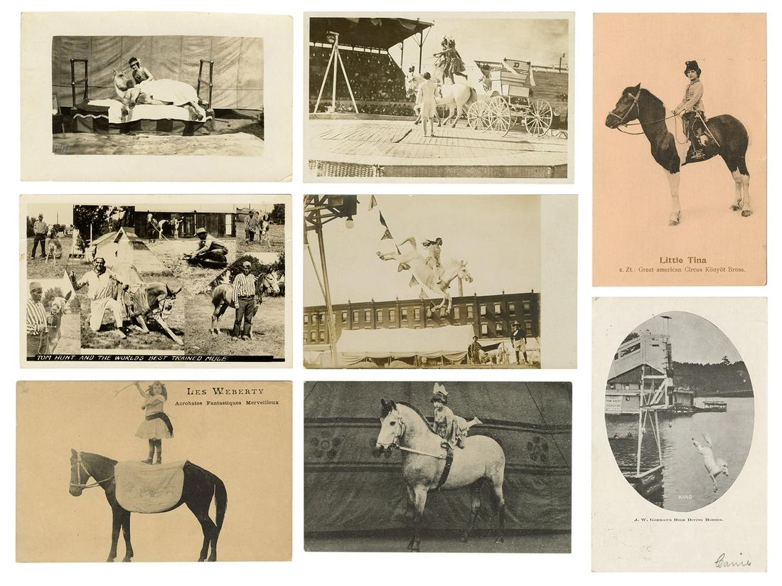 [EQUESTRIAN]. Nine equestrian and trained horse circus post... (1 of 1)