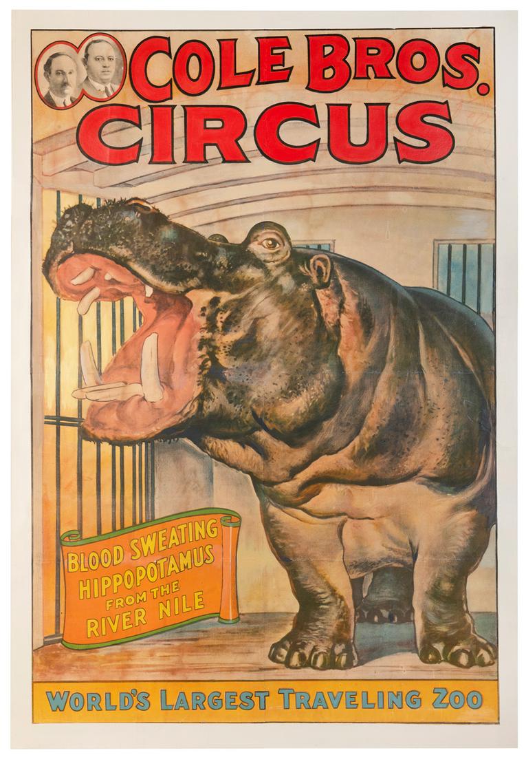 Cole Bros. Circus / Blood-Sweating Hippopotamus from the Ri... (1 of 1)