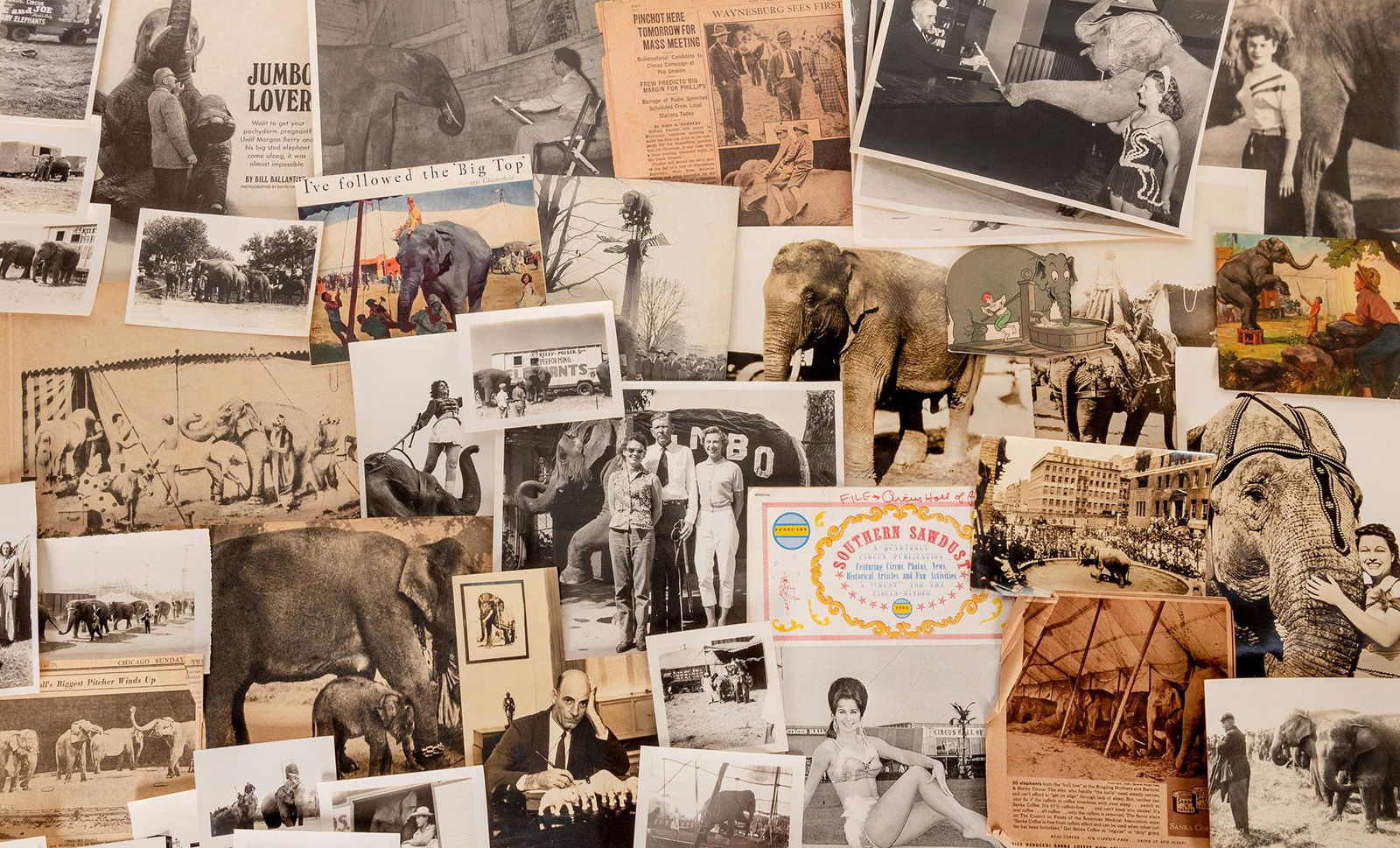 [CIRCUS—ELEPHANTS]. Lot of circus elephant photographs, sna... (1 of 4)