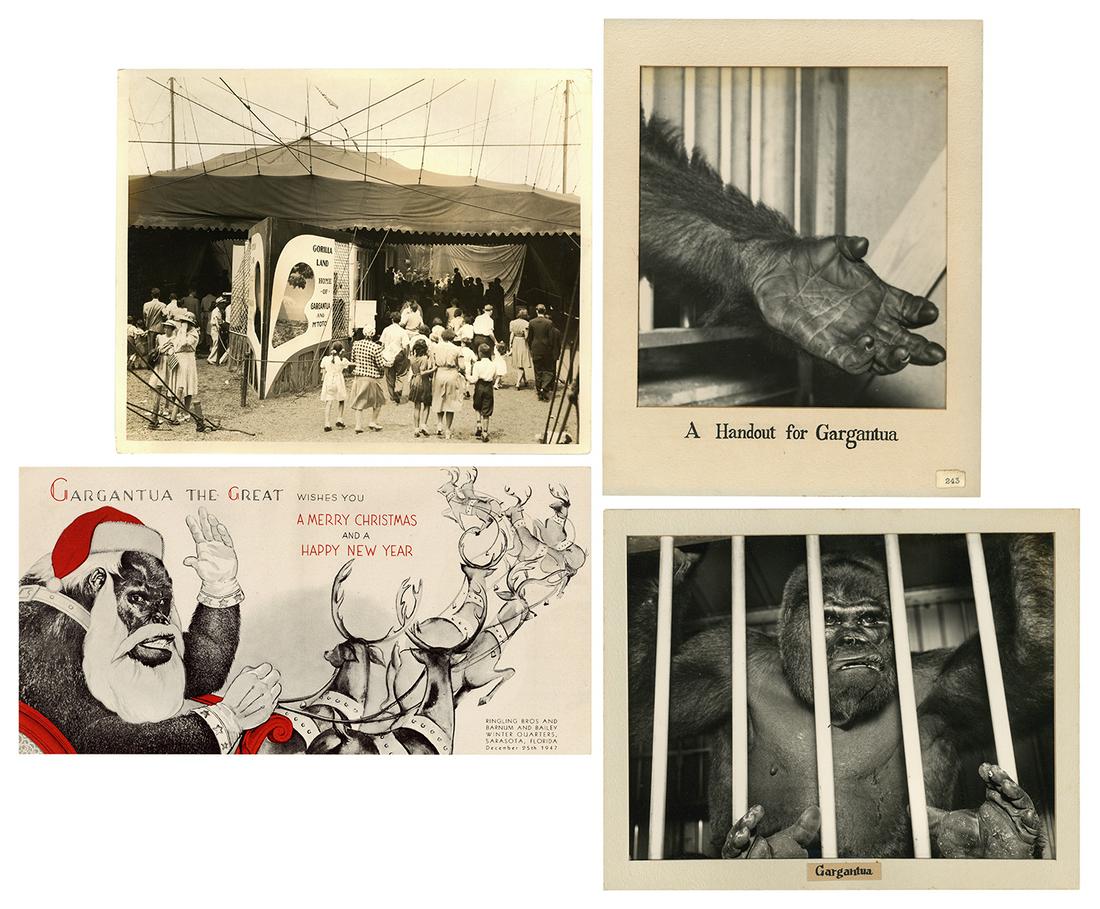 [R.B.B.B.—GARGANTUA]. Collection of Gargantua and circus go... (1 of 5)