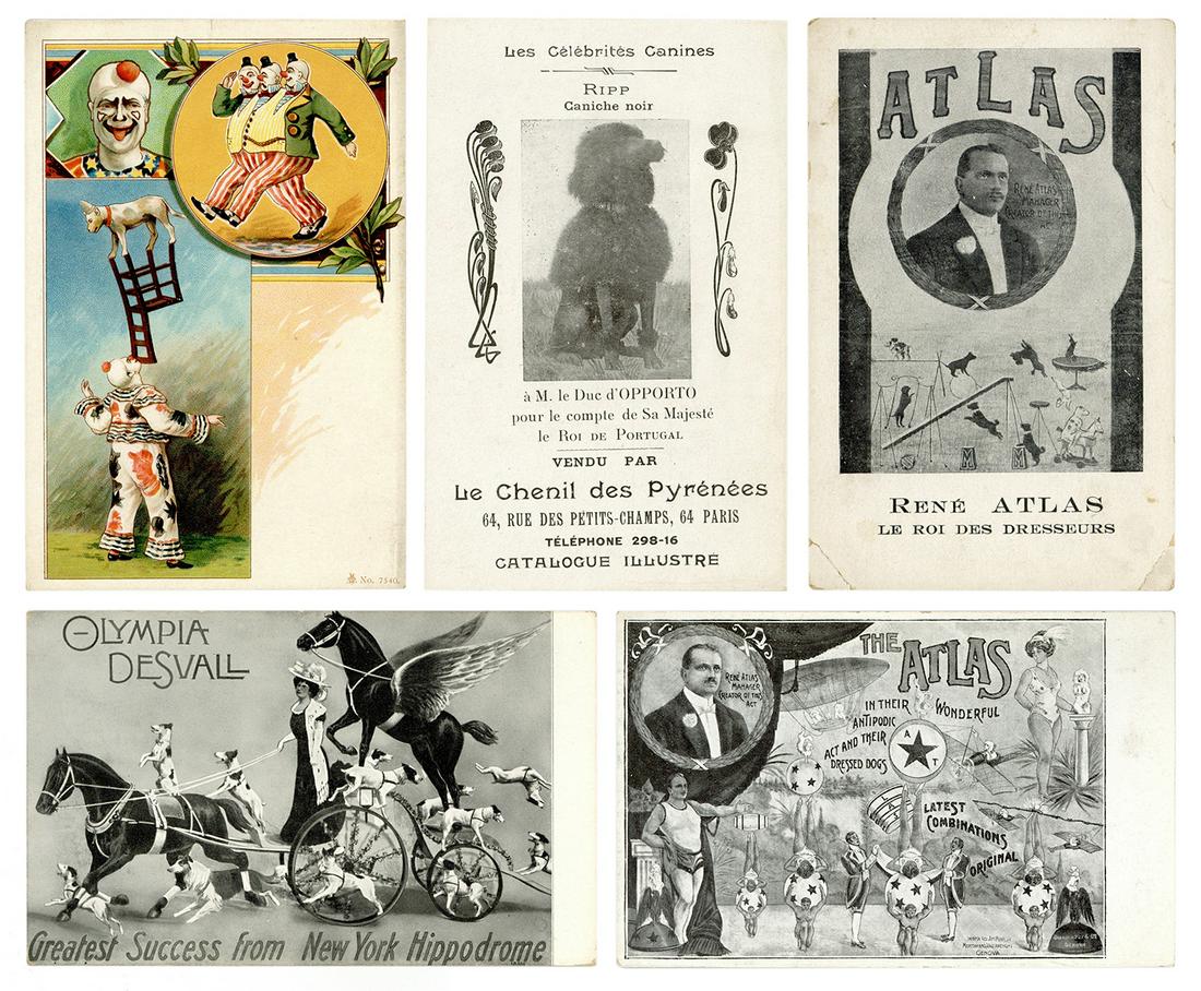 [POSTCARDS]. Trained / acrobatic dog acts. Five circus post...: [POSTCARDS]. Trained / acrobatic dog acts. Five circus postcards. French, ca. 1900s/10s. Postcards for circus acts with canines. Very good.