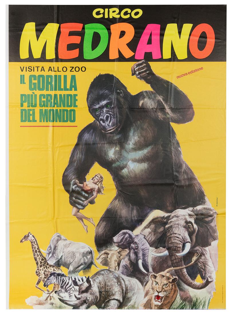Circo Medrano. Il Gorilla piu Grande del Mondo. Italy, 1979... (1 of 1)