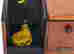 item-136775478=3