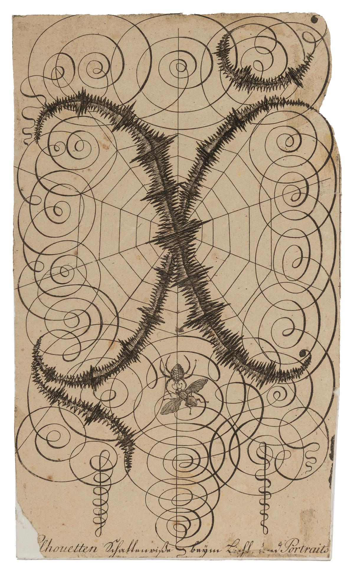 [ARTIST UNKNOWN]. Spider Web with Spider and Fly. Ink on pa... (1 of 1)