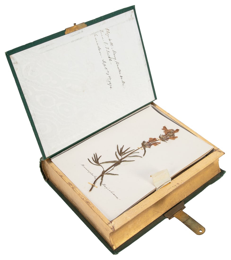  [SPECIMEN ALBUM - ALPINE PLANTS]. Souvenir de l'Engadine, c... (1 of 6)