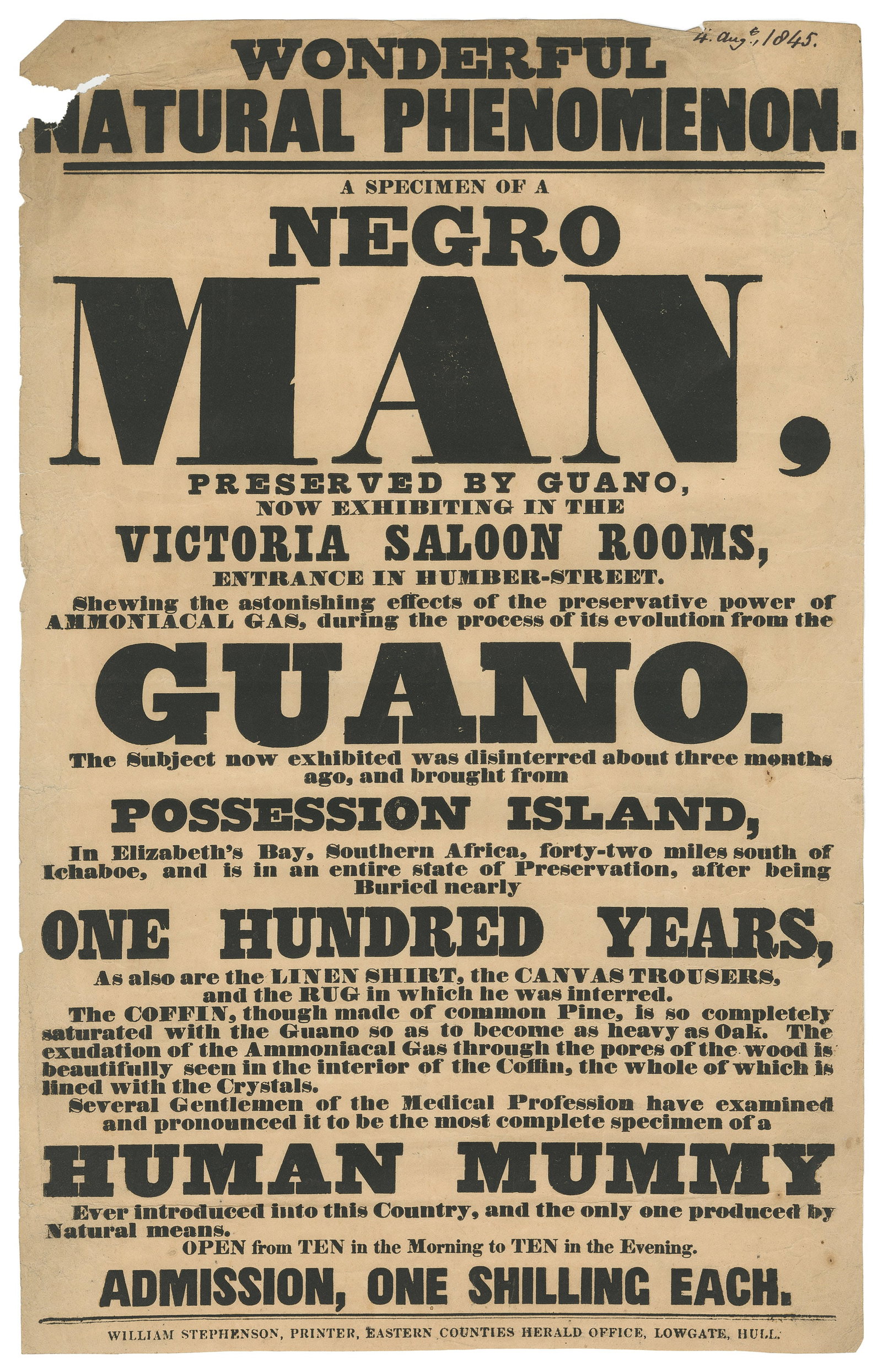[CURIOSITY—MUMMY]. Wonderful Natural Phenomenon. A Specimen...: [CURIOSITY—MUMMY]. Wonderful Natural Phenomenon. A Specimen of a Negro Man, Preserved by Guano, no Exhibiting in the Victoria Saloon Rooms. Lowgate, Hull: William Stephenson, Printer, Eastern Co