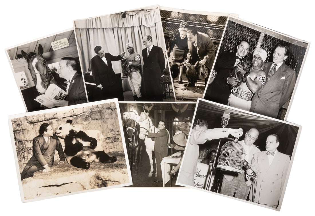 [PHOTOGRAPHS]. An Archive of Nearly 90 Photographs of Anima... (1 of 1)