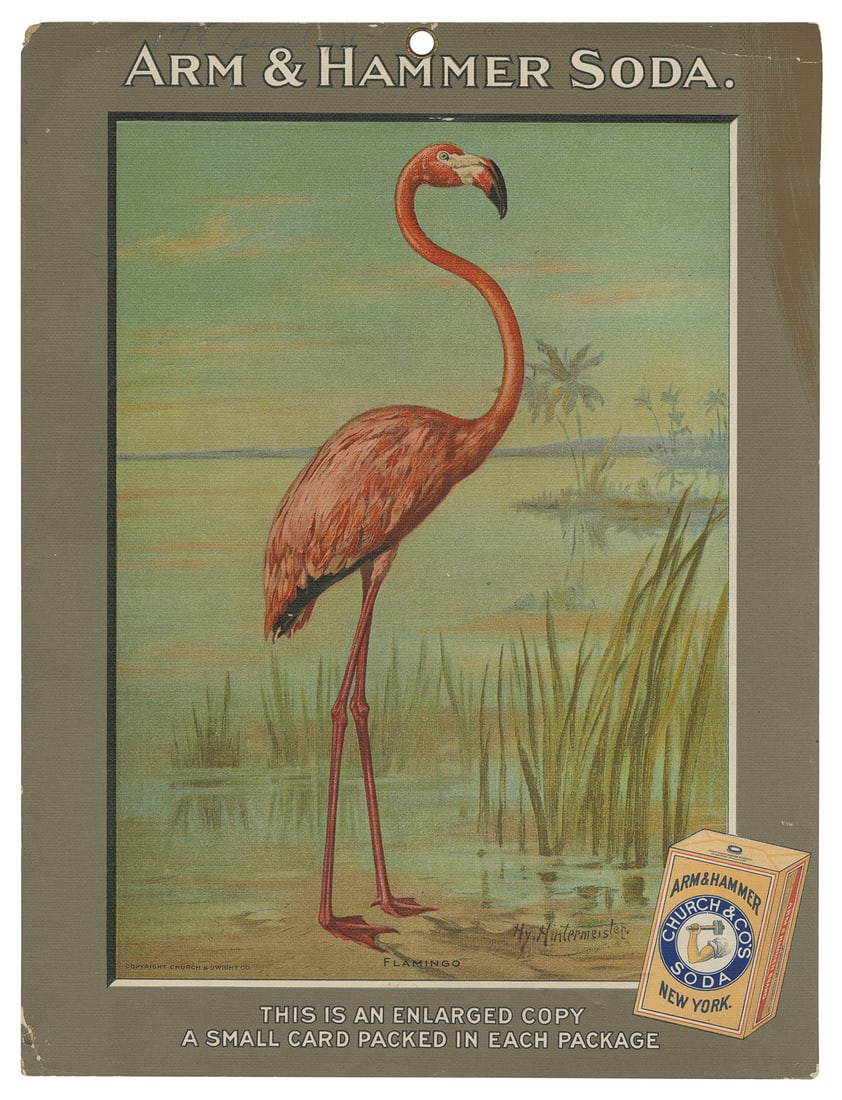 [TRADING CARDS]. A chromolithograph placard for getting a n... (1 of 1)