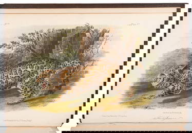 AUDUBON, John James (1785&#8211;1851) and BACHMAN, John (1790&#8211;187...