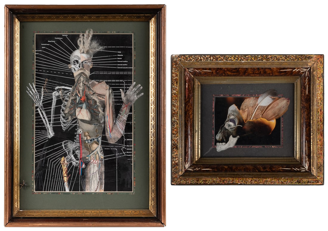 MARSH, Charles (American, 20th century). Two Works. Human A...: MARSH, Charles (American, 20th century). Two Works. Human Anatomy Dissection [and] Skull with Petals and Feather. Circa 1990. Mixed media collages in vintage frames. Both unsigned. Larger frame (plexi