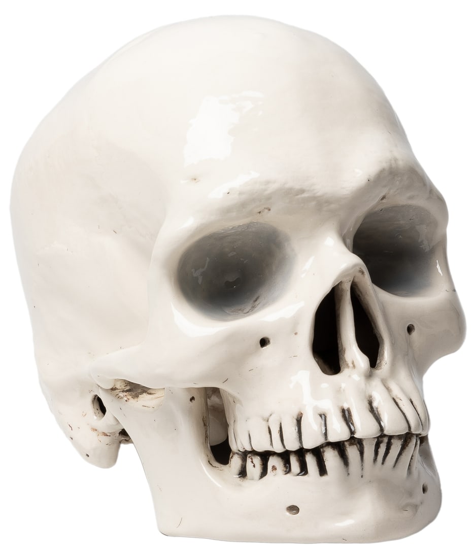 ARTIST UNKNOWN. Ceramic Skull. White high-gloss glazed cera... (1 of 3)