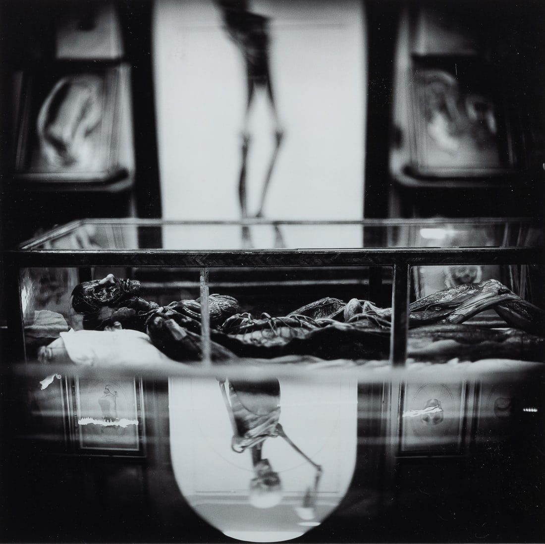 [PHOTOGRAPHY]. CARTER, Keith (American b. 1948). La Specola... (1 of 2)