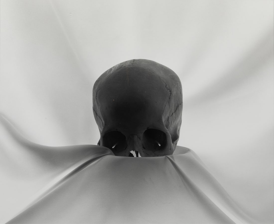 STERN, Lynn (American, b. 1945). Skull #9. 1991. Silver gel... (1 of 2)