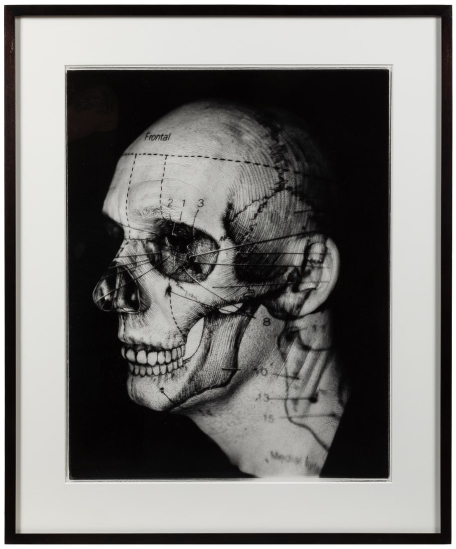 DU TIEL, Katherine (American, b. 1961). Skull/Head (Inside/... (1 of 1)