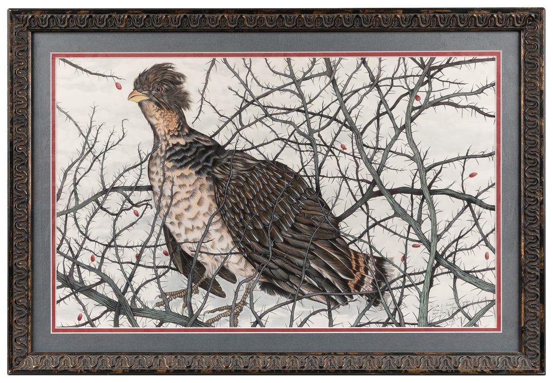 GEORGE, Lindsay Barrett (b. 1952). “A ruffed grouse” from I... (1 of 1)