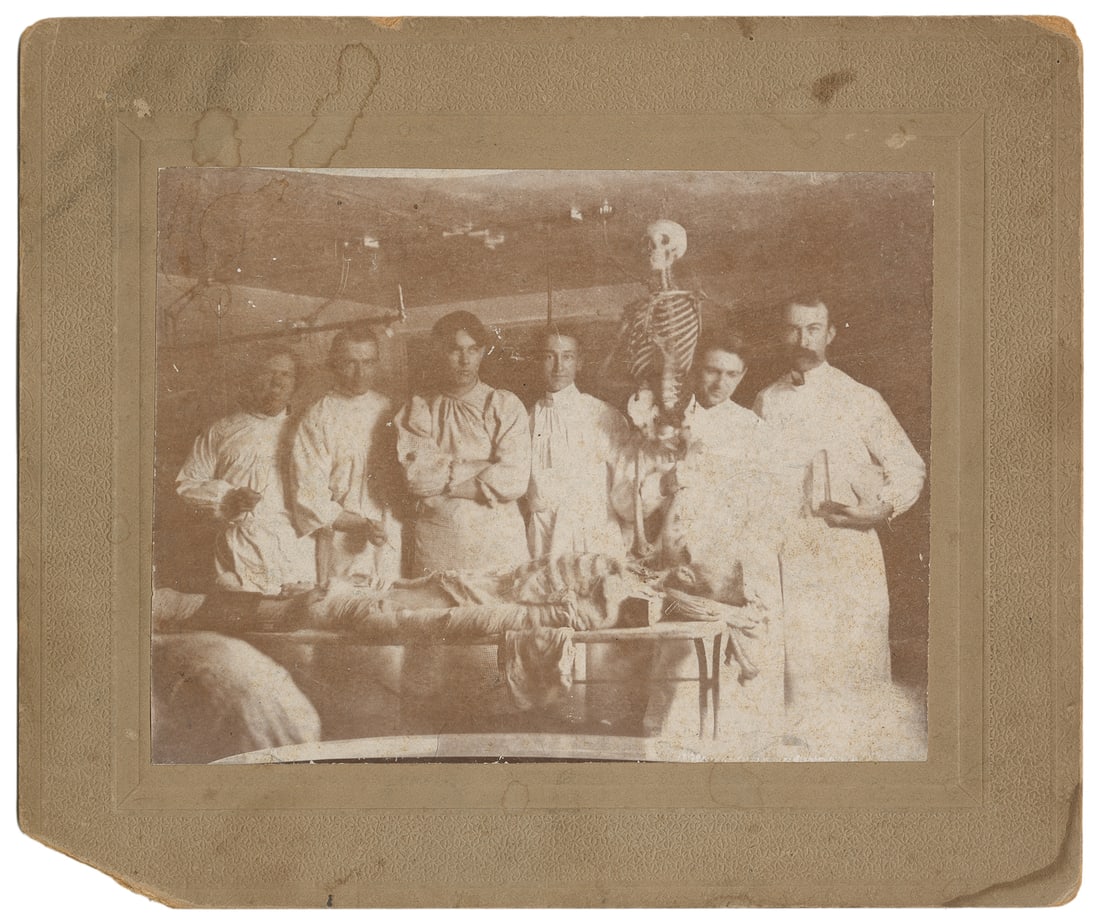 Medical School Autopsy Cadaver Photograph. Late 19th – earl...: Medical School Autopsy Cadaver Photograph. Late 19th – early 20th century. Sepia-toned photograph mounted to board depicting medical students standing behind a cadaver; one student holds a human