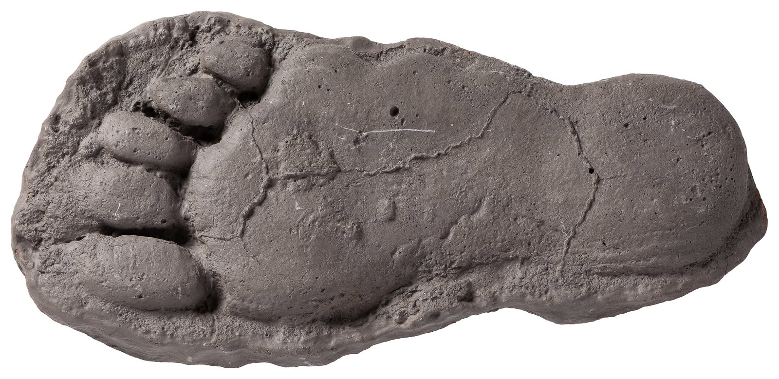 [ODDITIES]. HEREFORD, Dennis. Hereford Bigfoot Cast “E” Foo...: [ODDITIES]. HEREFORD, Dennis. Hereford Bigfoot Cast “E” Footprint Casting. Grays Harbor, WA, 1982. Full casting approx. 17 x 8”; footprint 15 x 6”. Some scuffs, else very good.