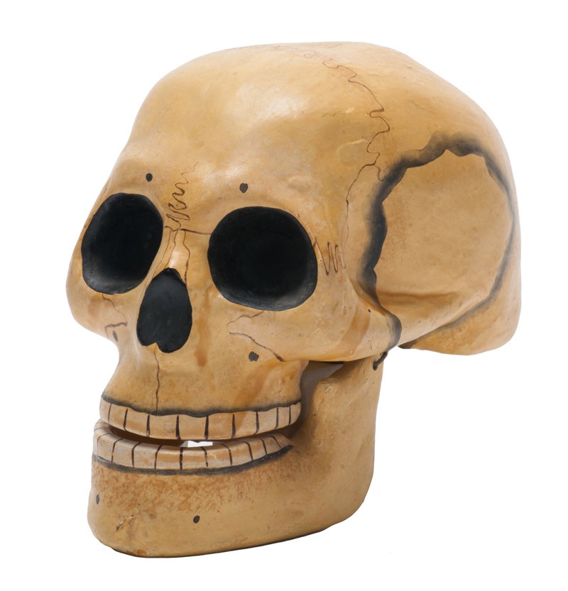 Thayer Talking Skull.: Talking Skull. Los Angeles, Thayer Mfg. Co., ca. 1925. Realistic composition skull that answers questions by clicking its jaw, once for “yes,” and twice for “no.” With instructions. Minor chip