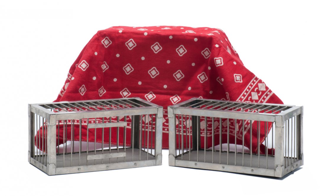 Vanishing and Reappearing Cage. European [?]: Vanishing and Reappearing Cage. European [?], ca. 1910. Solid nickel-plated cage vanishes from under a handkerchief, and reappears elsewhere. Sturdy metal cages measure 7 x 3 ¾ x 3 ¾”. With vanish