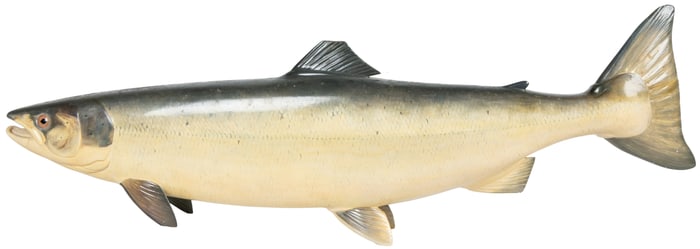 [MERRIAM, Frank S., artist]. Hand-Made and Painted Sculptur...