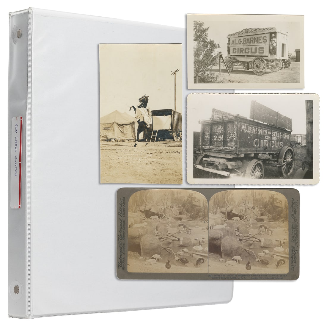 Album of American circus snapshots and postcards. Circa 193... (1 of 4)