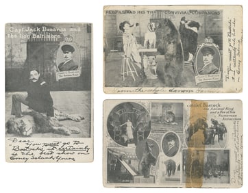 Three Bostock Menagerie Postcards. Three postcards depictin...