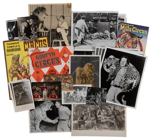 Collection of Big Cat Photographs and Postcards. Twenty-fiv...
