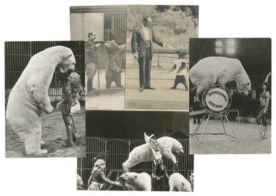 Eight Photographs and Postcards of Circus Bear Trainers. Ei...