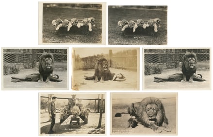 Group of 12 Big Cat Trainer Circus Postcards. Twelve postca...