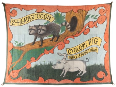 WICKERS. 2 Headed “Coon” / Cyclops Pig with Elephants Trunk...